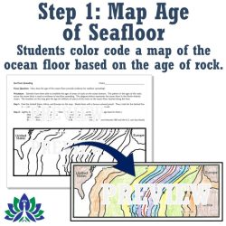 Flying colors science worksheet answers