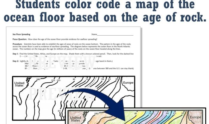 Flying colors science worksheet answers