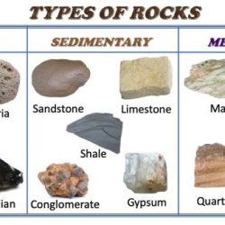 Geotour worksheet f sedimentary rocks