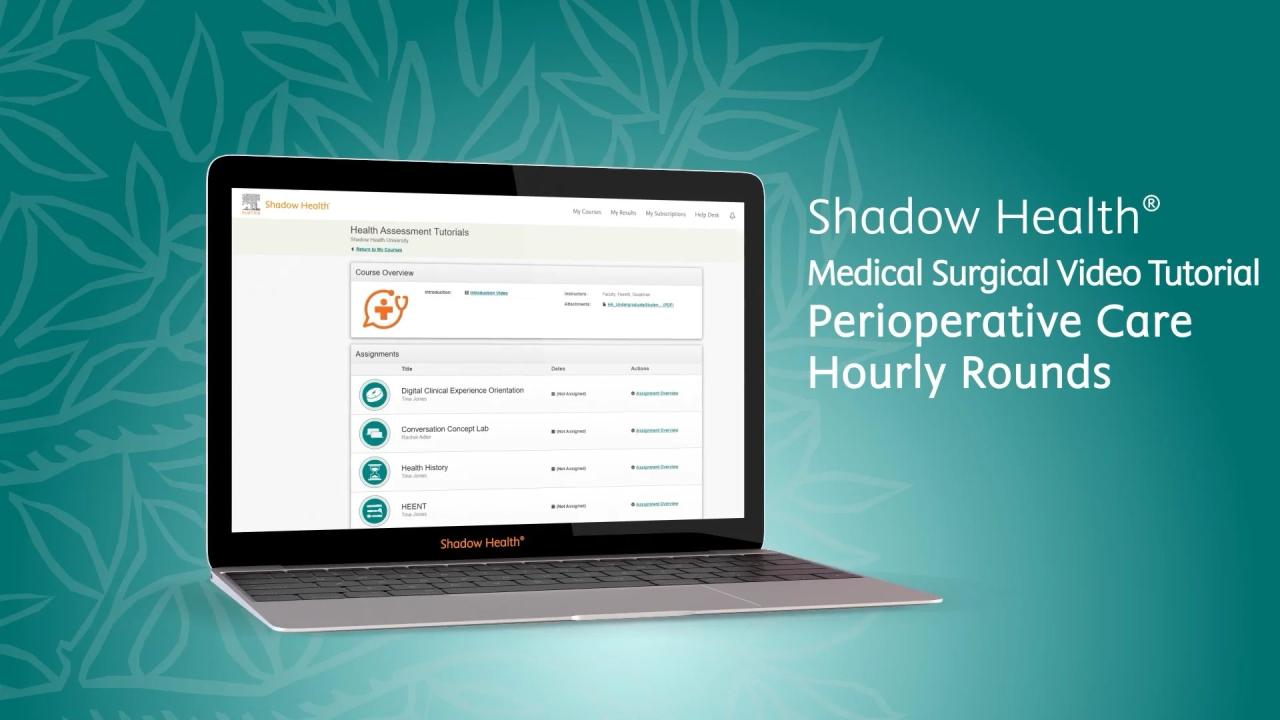 Renal system hourly rounds shadow health