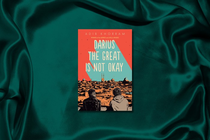 Darius the great is not okay summary