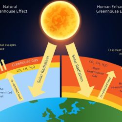 Which of the following illustrates an anthropogenic form of pollution